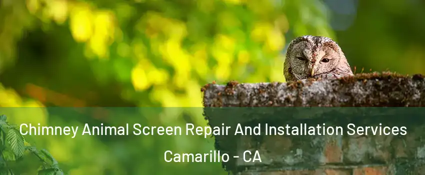  Chimney Animal Screen Repair And Installation Services Camarillo - CA
