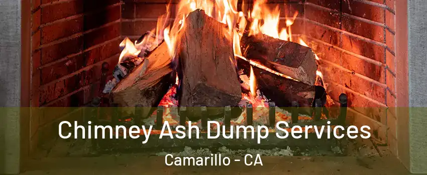  Chimney Ash Dump Services Camarillo - CA