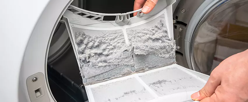 Best Dryer Lint Removal Company in Camarillo, California