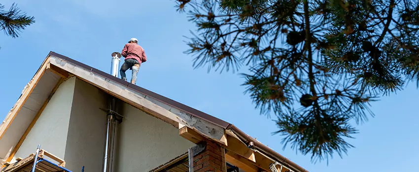 Birds Removal Contractors from Chimney in Camarillo, CA