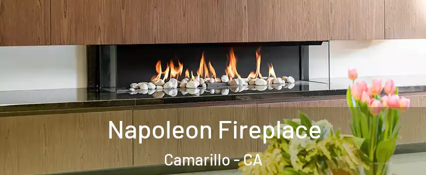  Napoleon Fireplace Camarillo - CA